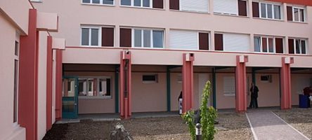IMG_0990.jpg