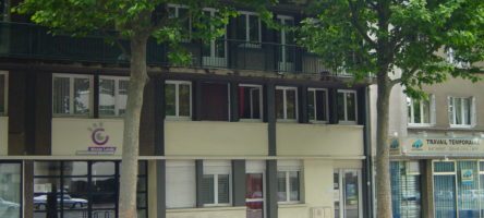 Champs-de_lin.jpg