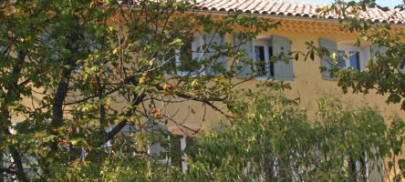 derriere-les-arbres.jpg