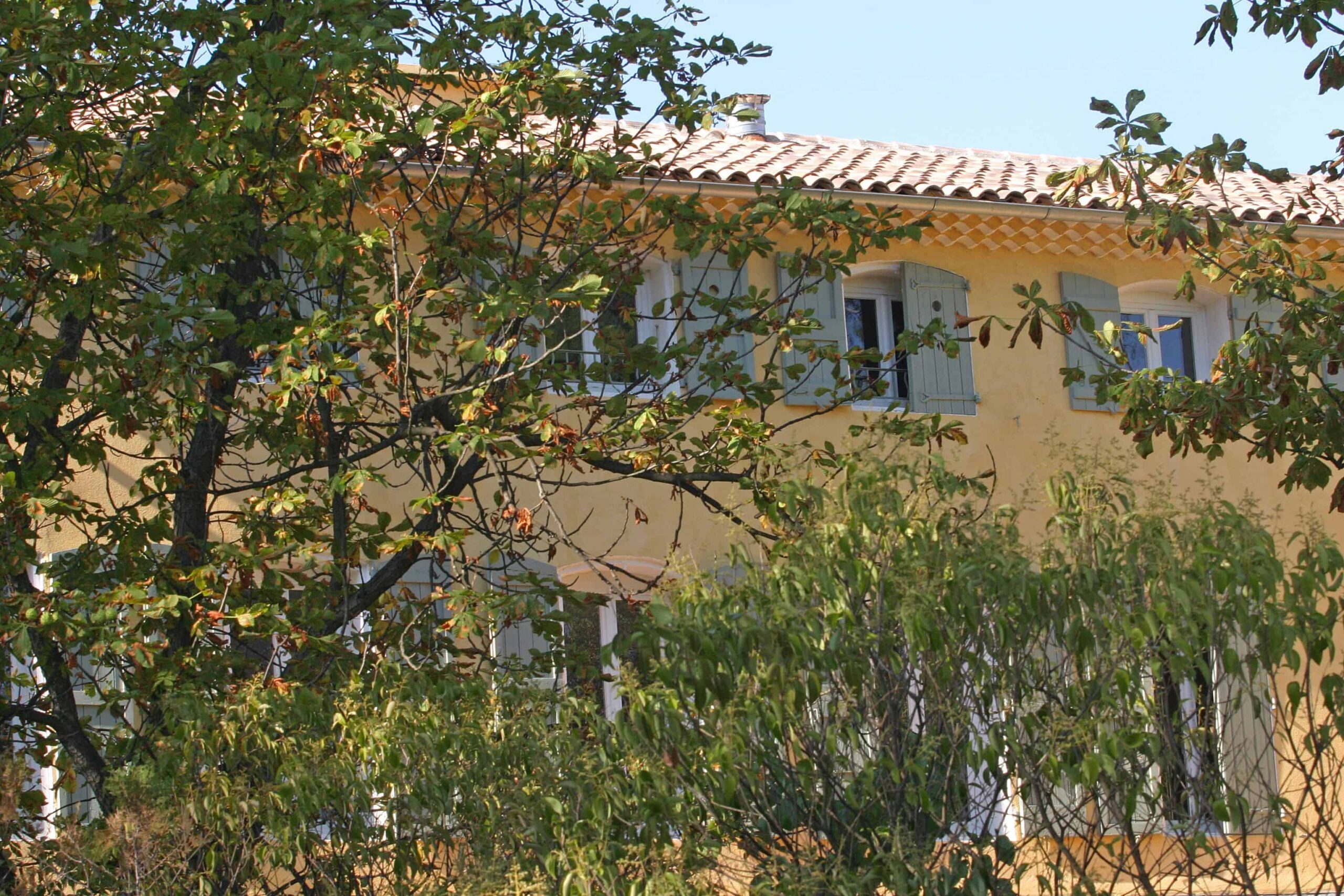derriere-les-arbres.jpg