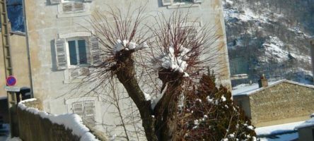 faç-ouest-neige-mur-rue-Fraternité-e1490689770543.jpg