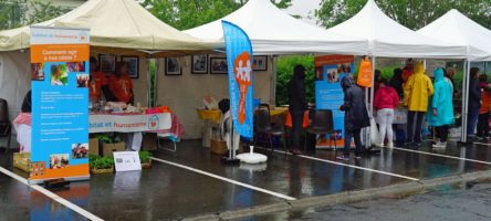 Com190519 (11) Vide Grenier