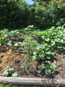 Talus Bis2 Juin2019