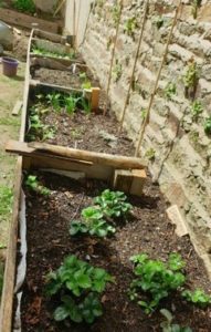Jardin Partagé Morbihan