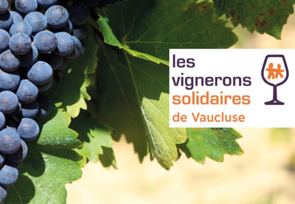 Bannière Vignerons solidaires Vaucluse