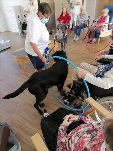 Visite De Otto Le Chien