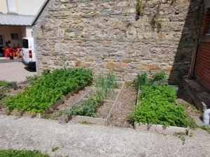 Jardin Plantes Aromatiques