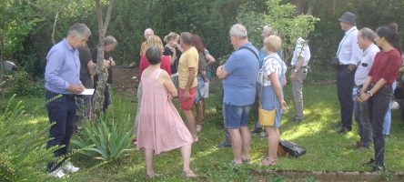 jardin de Laxou 54