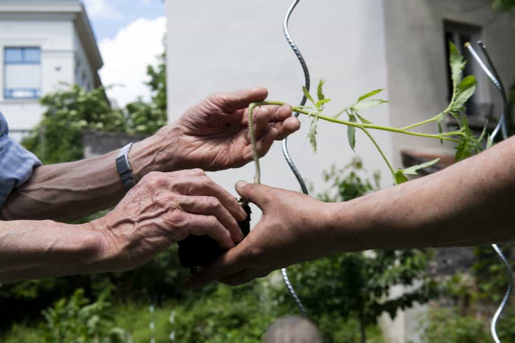 Jardins partagés Habitat et Humanisme