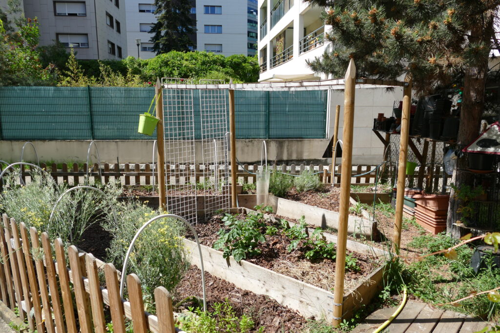 Jardin potager