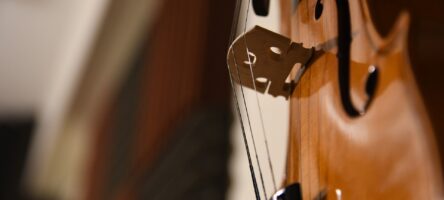 Violin 5818267 1920