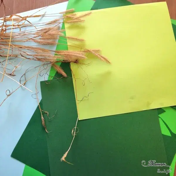 ATELIER MANUEL «PAYSAGES FRAGMENTÉS»