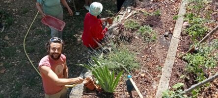 Actu Jardin 1