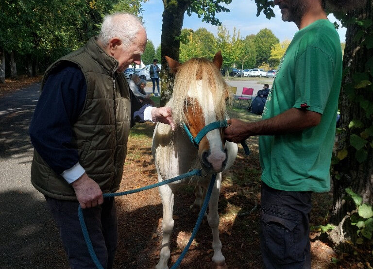 Equithérapie