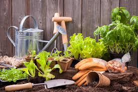 Jardinage